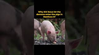 Why did Jesus let the demons enter the pigs in Matthew 8 [upl. by Raval]