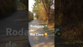 Rio Claro 🍋 potencial madereira 🍁 [upl. by Wollis]