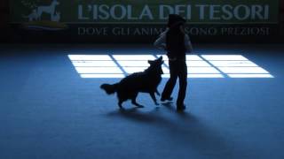 Dog Dance Freestyle Classe 3 Barbara Schettino amp Zoran [upl. by Dralliw]