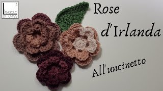 Rosa dIrlanda alluncinetto  facilissima [upl. by Nniroc]