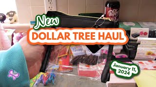 NEW DOLLAR TREE HAUL January 11 2024 [upl. by Yetti891]