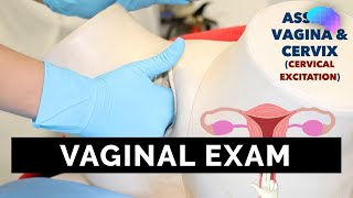 Vaginal Examination PV  OSCE Guide  UKMLA  CPSA [upl. by Levy125]