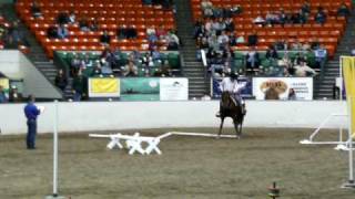 Reeboks Kid Equine Affaire Versatility Finals [upl. by Atila]