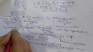 SYSTEMIC EFFECTS OF INFLAMMATION [upl. by Meehaf]