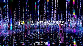 teamLab amp TikTok teamLab Reconnect  Art with Rinkan Sauna Roppongi [upl. by Nrubloc]