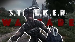 STALKER Warfare Ep5  Attack On Rookie Village [upl. by Ahsinrad]