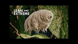 Organisms Characteristics Living and NonLiving Things Vertebrates Invertebrates Grade 6 Science P2 [upl. by Higinbotham]