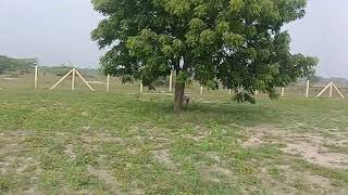 2 acre 21 cent punjai land for sale 9994969206 [upl. by Attenra]