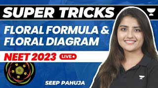 Floral Formula and Floral Diagram  Super Tricks  NEET 2023  Seep Pahuja [upl. by Ailaza]