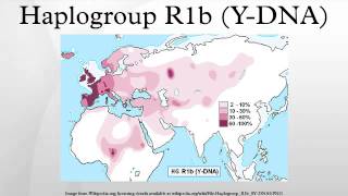 Haplogroup R1b YDNA [upl. by Cecily]