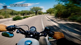 Harley Davidson FortyEight 48 Pure Engine Sound [upl. by Belter]