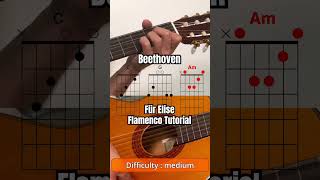 Beethoven  Für Elise Flamenco version guitar tutorial [upl. by Yoong547]