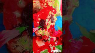 Maiya Ke Chadela Adhahul youtubeshorts viralvideo navratri viralsong viralshorts 2024 [upl. by Karim988]