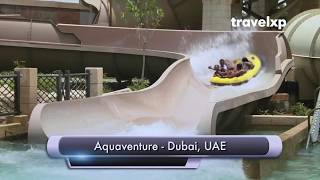 Best From The Rest  Dubai Top 5 Experiences [upl. by Zinn]