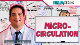 Cardiovascular  Microcirculation [upl. by Neiviv258]