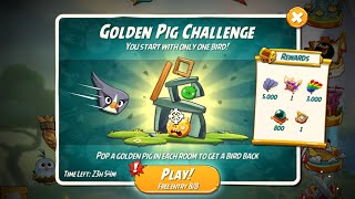 Golden Pig Challenge with Silver  Angry Birds 2 [upl. by Cirre]