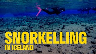 Only In Iceland – Winter Snorkelling At Silfra – livestream [upl. by Ahtram]