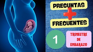 PRIMER TRIMESTRE DE EMBARAZO  Todo lo que debes conocer [upl. by Norac]