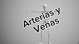 Arterias y venas [upl. by Iarahs817]