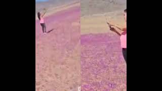 Directora de Conaf en Atacama y viral de mujer pisando flores en la zona quotEs pisar el sustrato [upl. by Isaacson]