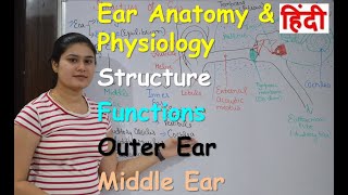 Ear anatomy amp physiology in Hindi  Part 1  Structure  Functions  Outer ear  Middle ear [upl. by Parette]