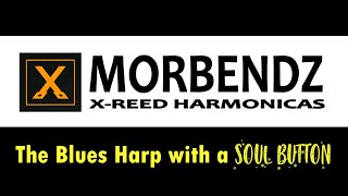 MORBENDZ HARMONICA Bend 14 Reeds instead of 8 on a standard harp [upl. by Lady39]