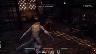 Fighting Jorunn the Skald King in ESO [upl. by Cyrus]