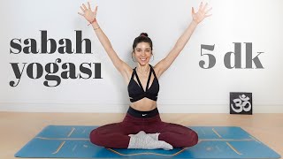 UYAN ve PARLA ☀ Güne Enerjik Başlamak İçin 5 Dakika Sabah Yogası  Elvin ile Yoga [upl. by Eralcyram277]