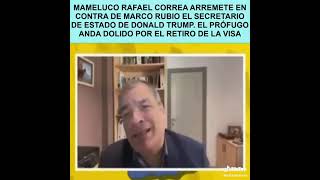 MAMELUCO RAFAEL CORREA ARREMETE EN CONTRA DE MARCO RUBIO EL SECRETARIO DE ESTADO DE DONALD TRUMP [upl. by Maril]