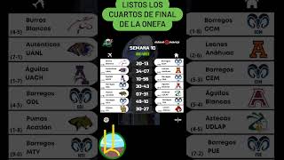 CUARTOS DE FINAL ONEFA [upl. by Lertnom]