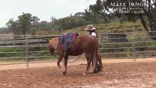 Building Confidence in a Horse Super Frightened of Pressure [upl. by Ives]