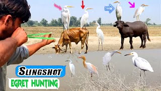 Slingshot Cattle Egret Bird Hunting With Unbelievable Shots [upl. by Suissac]