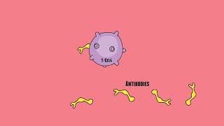 Cancer Immunotherapy [upl. by Oned329]