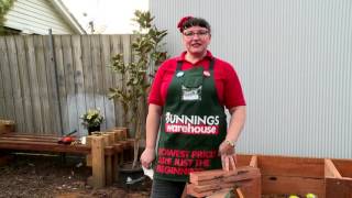 DIY Wooden Compost Bin  DIY At Bunnings [upl. by Yager]