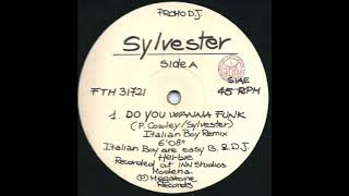 SYLVESTER Do you wanna funk remix 1991 [upl. by Ker]