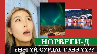 Норвегид ҮНЭГҮЙ сурах Part 1 [upl. by Horan]