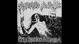 Lysergic Suicide  Psychiatric Animism EP Keller Synth 2024 [upl. by Enitsirhc]