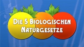 Die 5 Biologischen Naturgesetze  Die Dokumentation [upl. by Anawait802]