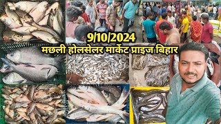 मछली होलसेलर मार्केट प्राइज बुधवार के दिन मछली का होलसेलर रेट 🐟fish holseler market price bihar [upl. by Adnihc]