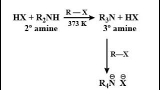 Hoffman Ammonolysis  Formation of Amines [upl. by Redford830]