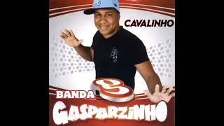 Banda Gasparzinho  Cavalinho [upl. by Aramen]