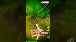 💥🦈 FISH VS SNAKE FIGHT 🐍💥 shorts shortsfeed fishlover snake fight ytshorts [upl. by Ettenajna]