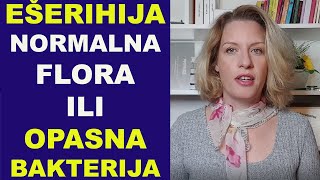 EŠERIHIJA KOLI Ecoli normalna flora ili OPASNA BAKTERIJA  dr Bojana Mandić [upl. by Renie712]