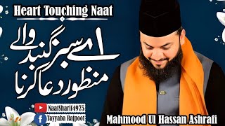 Ay Sabz Gumbad Wale Manzoor Dua Karna💞 Heart Touching Naat Sharif💞 By Mahmood Ul Hassan Ashrafi💞 [upl. by Nelrsa]