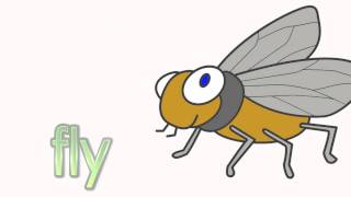 Learn Insects  Talking Flashcards [upl. by Llebana]