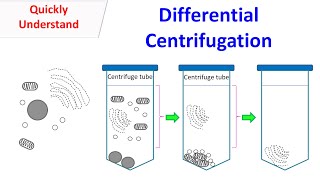 differential centrifuge [upl. by Franzoni]