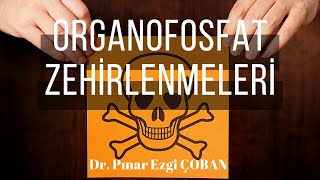 Organofosfat Zehirlenmeleri Pınar Ezgi Çoban [upl. by Rodge]