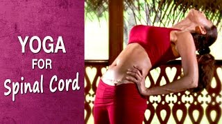 Yoga for Strengthen the diaphragm  Prishthasana  Shilpa Yoga [upl. by Sheelah998]