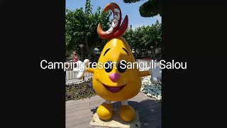 SANGULI SALOU [upl. by Peltz]