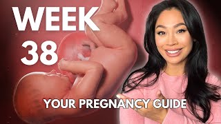 38 Weeks Pregnant  Baby Development amp What To Expect [upl. by Tnilf]